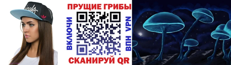 закладки  Дзержинск  Псилоцибиновые грибы MAGIC MUSHROOMS 